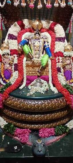 நாக வாகனத்தில் ஸ்ரீவரதராஜ பெருமாள் வீதியுலா