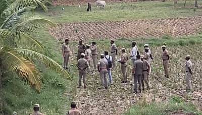 கோவை சூலூர் சிறுமி கொலை: சம்பவ இடத்தில் தமிழக சட்டம்-ஒழுங்கு டிஜிபி ஆய்வு!