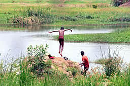 ஆபத்துக் குளியல்...