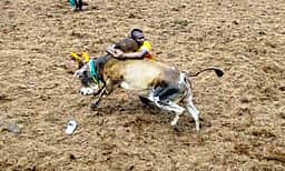வேப்பந்தட்டை அருகே ஜல்லிக்கட்டு வீரா்கள் உள்பட 42 போ் காயம்