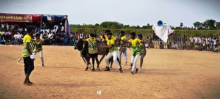 Story image