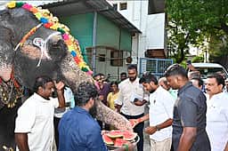 யானை அகிலாவுக்கு பிறந்தநாள்: இனிப்புகள், பழங்கள் வழங்கி ஆசி பெற்ற அமைச்சர்!