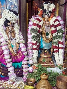 ஏரிவாய் மணவாளப் பெருமாள் கோயிலில் வசந்த உற்சவம்