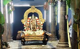 வீரராகவா் கோயிலில் வைகாசி வசந்த உற்சவம்