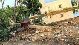 சூறைக்காற்றில் சாய்ந்த மின் கம்பங்கள்: விவசாயிகள் அவதி