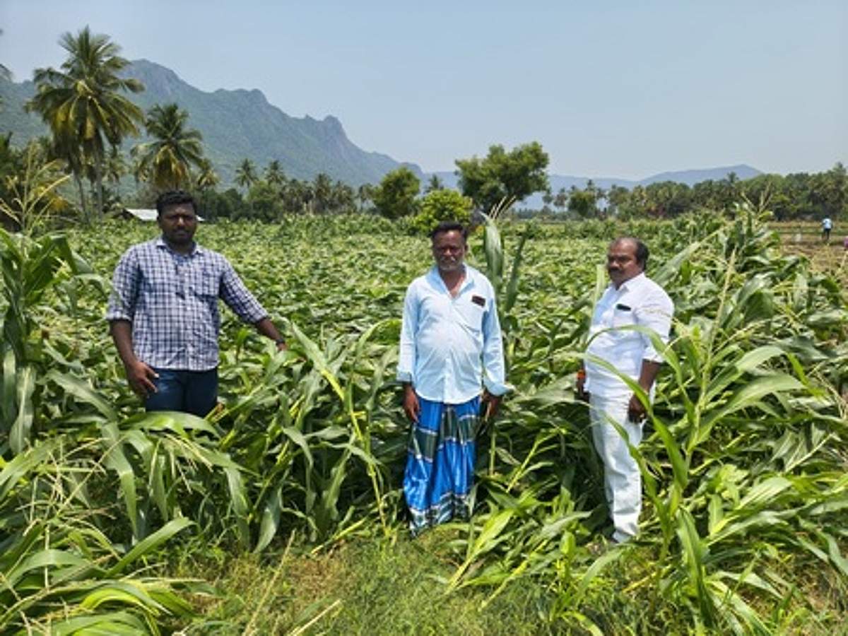 News image