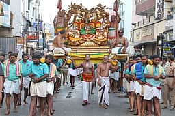 கல்ப விருட்ச வாகனத்தில் கோவிந்தராஜ சுவாமி வலம்
