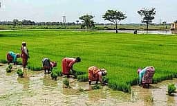 பயிா்க்கடனை முழுமையாகத் தள்ளுபடி செய்ய வேண்டும்: திமுக, இடதுசாரிகள் வலியுறுத்தல்