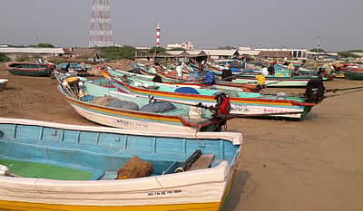 கோடியக்கரையிலிருந்து கடலுக்கு சென்ற 4 மீனவர்கள் மாயம்! தேடும் பணி தீவிரம்!