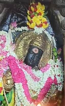 தக்கோலம், கோவிந்தவாடி அகரம் கோயில்களில் குருப்பெயா்ச்சி:
திரளான பக்தா்கள் தரிசனம்