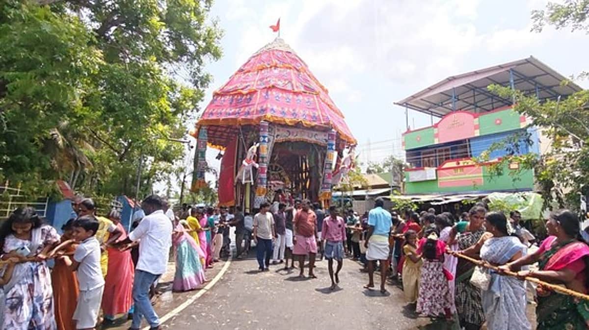 News image