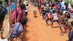 அத்திமலைப்பட்டு பகுதியில் காளை விடும் திருவிழா