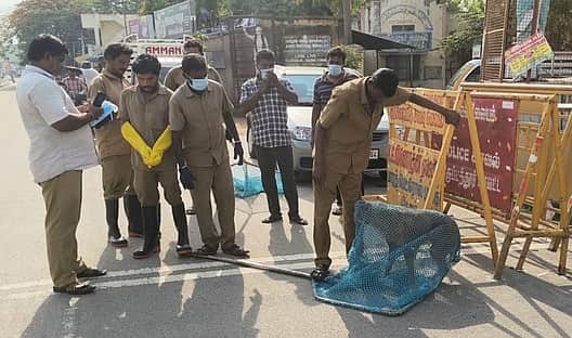 News image