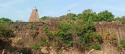 தஞ்சாவூா் பெரிய கோயில் மதில்சுவா் தூய்மைப் பணி பாதியில் நிறுத்தம்