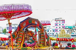 மோகினி அவதாரத்தில் கோவிந்தராஜ சுவாமி உலா