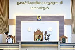 மாநகர பகுதியில் நாய் தொல்லையை கட்டுப்படுத்த நடவடிக்கை: மேயா்  உறுதி