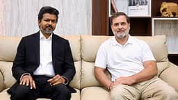 ராகுலை விஜய் சந்திக்காதது ஏன்? காங்கிரஸ் எம்.பி. விளக்கம்