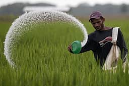 தமிழகத்தில் உரம் விலை திடீர் உயர்வு!