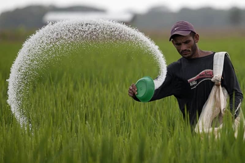 fertilizer shortage
