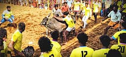 கீழவேகுப்பட்டியில் ஜல்லிக்கட்டு: 20 போ் காயம்