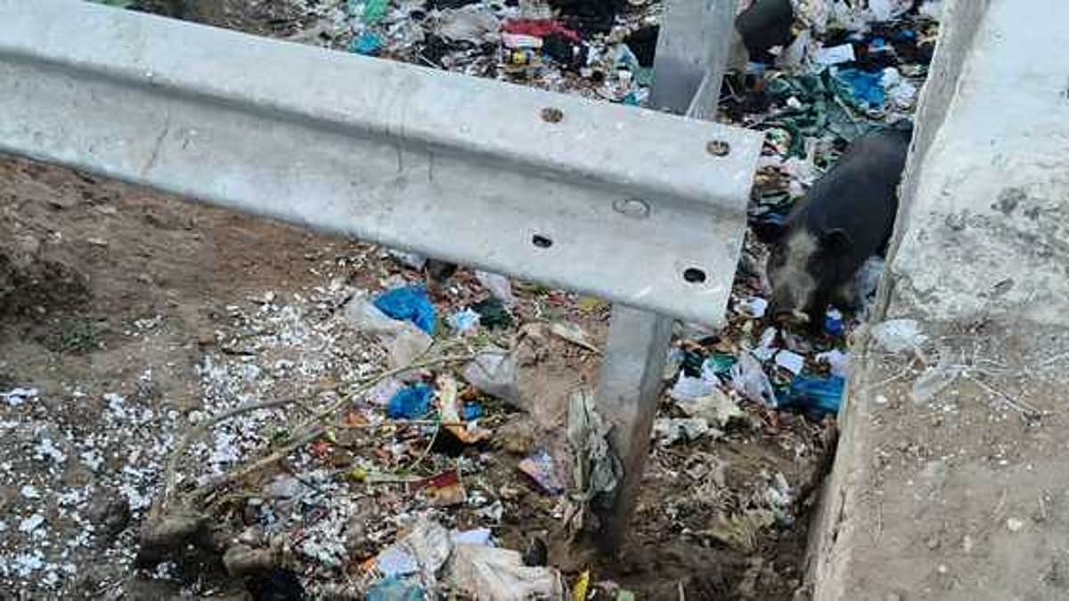 News image