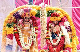 காசிவிசுவநாதா் கோயிலில் சுவாமி திருக்கல்யாணம்