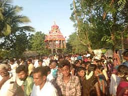 அணவயல் தாணான்டியம்மன் கோயில் தேரோட்ட விழா