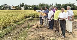கும்பகோணத்தில் கோயில் நிலங்களை அளவீடு செய்யும் பணி தொடக்கம்