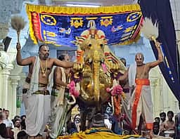 காஞ்சிபுரம் காமாட்சி அம்மன் கோயிலில் வசந்த உற்சவம்!