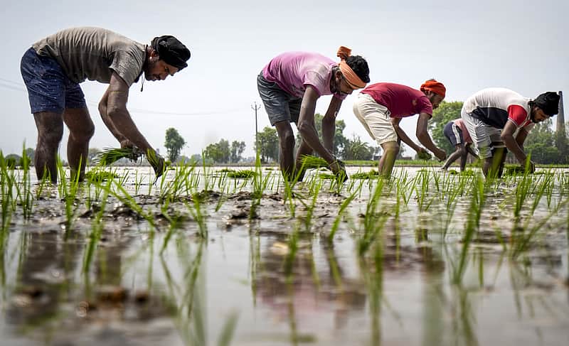 farm loan waiver