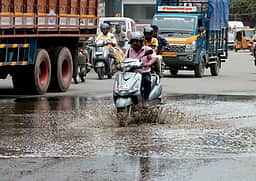 ராஜபாளையம் பகுதியில் பலத்த மழை