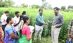 விவசாயிகளுக்கு தடையின்றி பசுந்தாள் உரம்: வேளாண் துறைக்கு ஆட்சியா் அறிவுறுத்தல்
