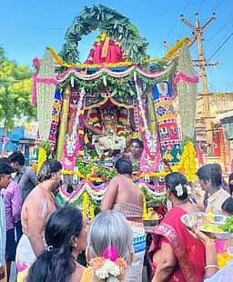 ஆற்காடு வரதராஜ பெருமாள் கோயில் தேரோட்டம்