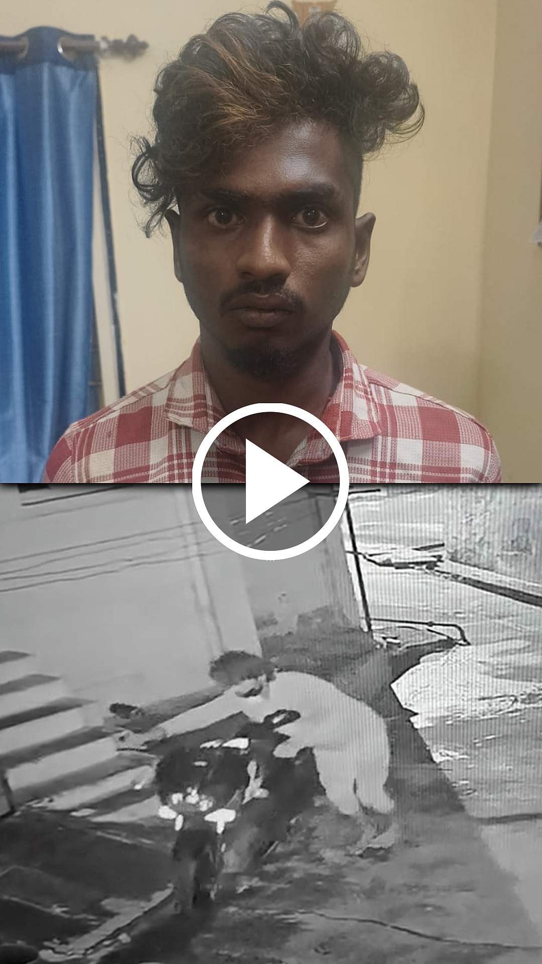கோவையில் பைக் திருட்டு! சிசிடிவியில் சிக்கிய இளைஞர்கள்!