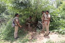 கோபி அருகே சிறுத்தை நடமாட்டத்தைக் கண்காணிக்க கேமராக்கள் பொருத்தம்