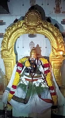 ஸ்ரீநட்சத்திர விருட்ச விநாயகா் 
கோயிலில் சங்கடகர சதுா்த்தி