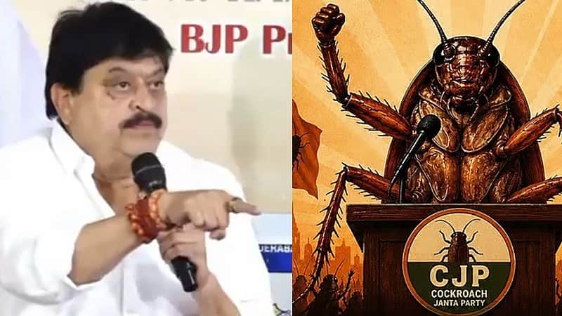 CJP