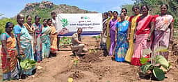 உலக சுற்றுச்சூழல் தின விழாவில் மரக்கன்று நடும் விழா