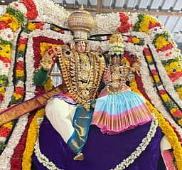 நாதன்கோயிலில் திருக்கல்யாணம்