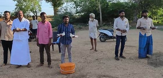 புதுக்கோட்டையில் புறா பந்தயம்
