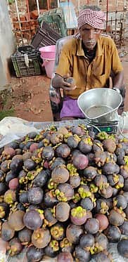 குமரியில் களை கட்ட தொடங்கிய மங்குஸ்தான் பழ சீசன்: கிலோ ரூ.200-க்கு விற்பனை!