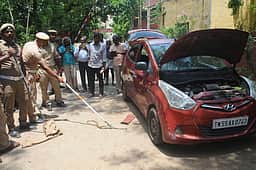 காரில் புகுந்த பாம்பு பிடிபட்டது