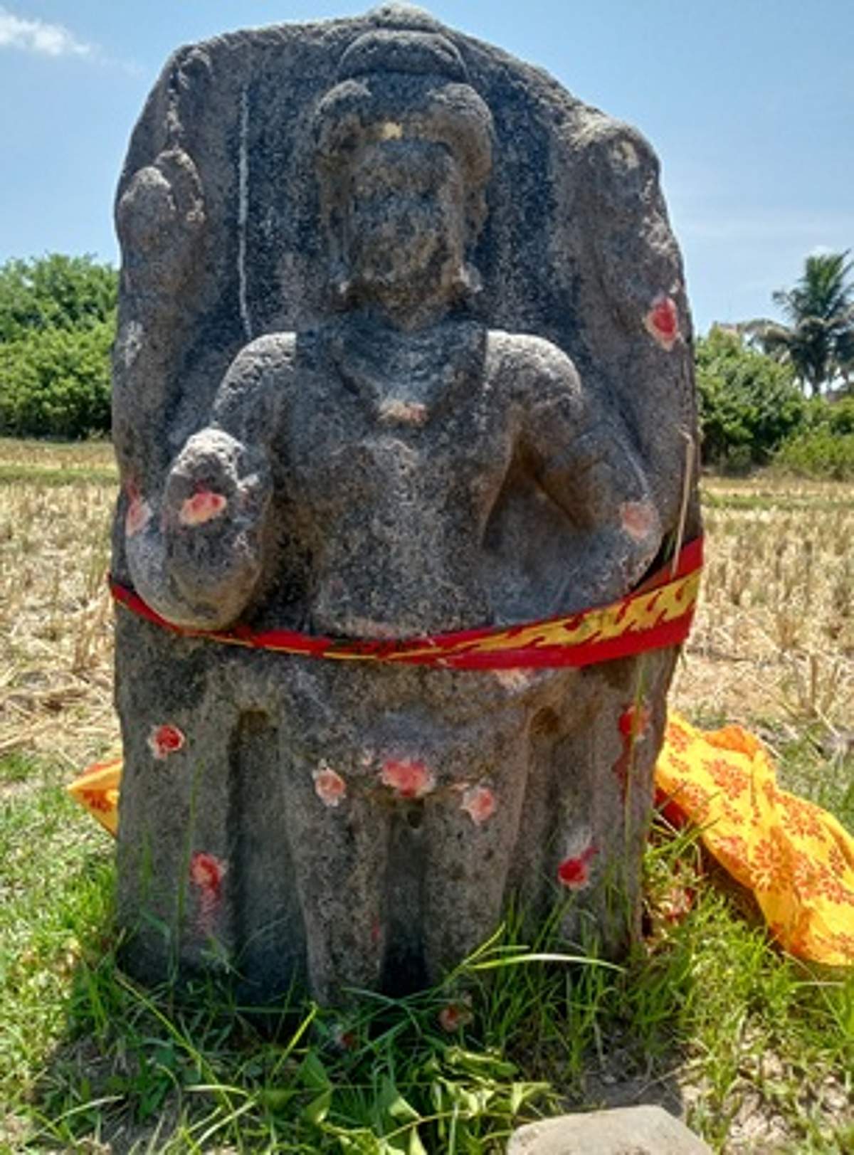News image