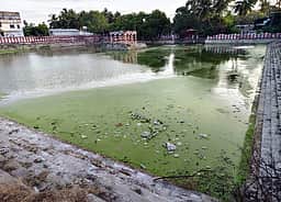 ராமா் தீா்த்தக் குளத்தில் நெகிழிக் கழிவுகள்: தூய்மைப் பணி மேற்கொள்ள கோரிக்கை