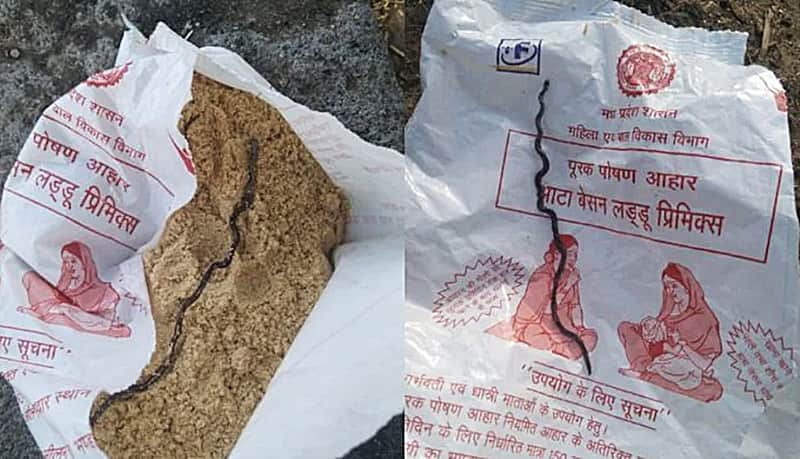 Dead Snake Found In Food Packet Given To Pregnant Woman