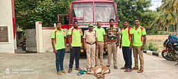 பாலக்கோடு அருகே கிணற்றில் விழுந்த புள்ளிமான் மீட்பு