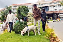 சேலம் ஆட்சியா் அலுவலகத்துக்கு
14-ஆவது முறையாக வெடிகுண்டு மிரட்டல்