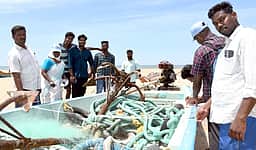 புதுச்சேரியில் பைபா் படகுகள் கணக்கெடுப்பு