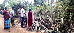 கரும்பு தோட்டத்தில் தீ விபத்து: போலீஸாா் விசாரணை