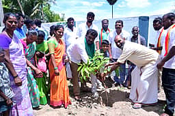 திருக்கோஷ்டியூா் அரசுப் பள்ளியில் மரக்கன்றுகள் நடவு
